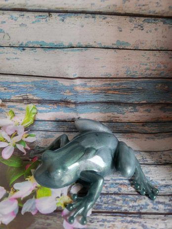 Grenouille verte et blanche.