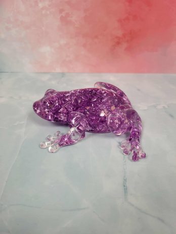 Grenouille transparente et violette.