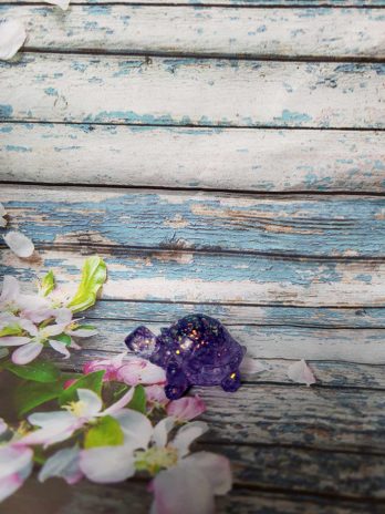 Petite tortue à paillettes violet.