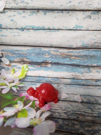 Petite tortue rouge.