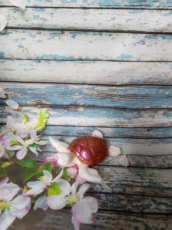 Tortue de mer blanche et bonze.