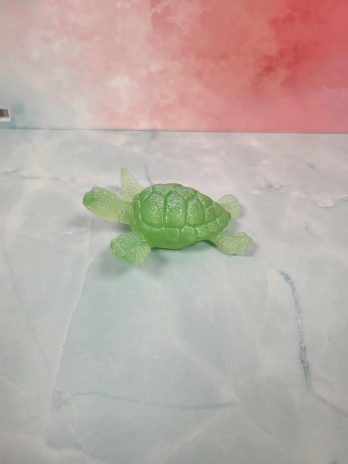 Tortue de mer verte.