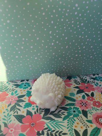 Petit hérisson blanc.