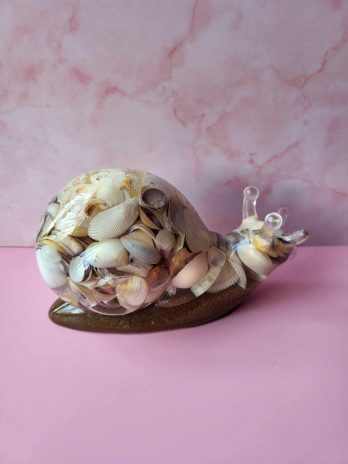 Gros escargot coquillage.