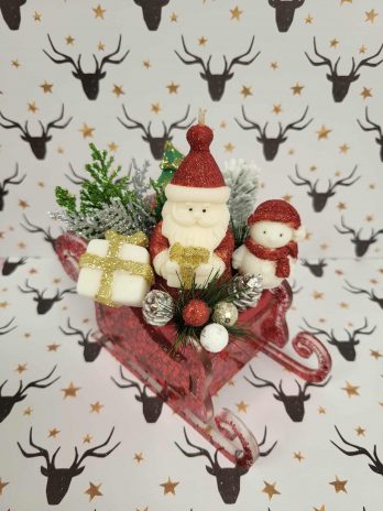 Composition balade en traîneau